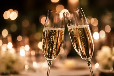 Champagne Toast at Elegant Dinner Celebration