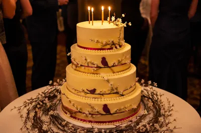 Warm Candlelit Birthday Cake Celebration