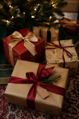 Christmas Gift Boxes Under Evergreen Tree