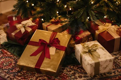 Christmas Gift Boxes Under Evergreen Tree