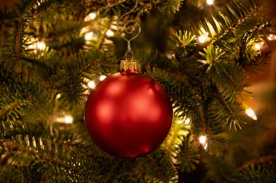 Warm Red Ornament on Christmas Evergreen