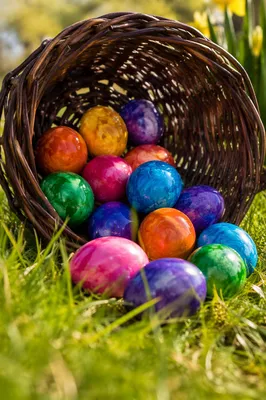 Colorful Easter Eggs in Rustic Basket