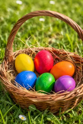 Colorful Easter Eggs in Wicker Basket