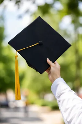 Raised Graduation Cap in Sunlit Celebration