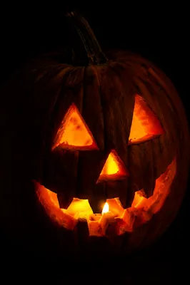 Glowing Carved Halloween Pumpkin in Darkness