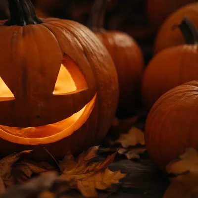 Glowing Halloween Jack O Lantern Pumpkins