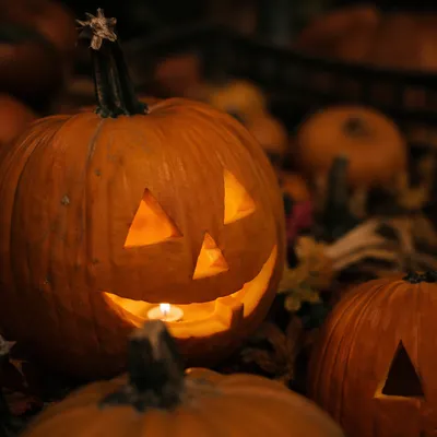 Glowing Jack O Lantern Autumn Close Up