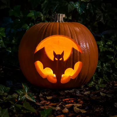 Glowing Jack O Lantern in Shadowy Garden