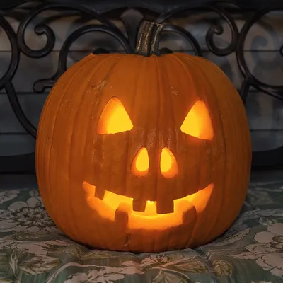 Cozy Hand Carved Pumpkin Jack O Lantern