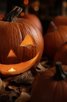 Glowing Carved Halloween Pumpkin with Autumn Leaves