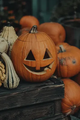 Rustic Carved Halloween Pumpkin Close-Up