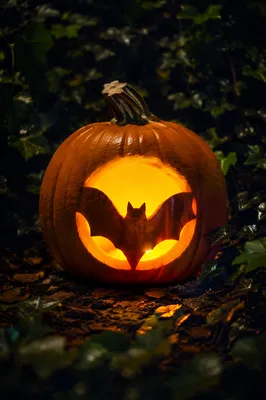 Glowing Jack O Lantern in Shadowy Garden