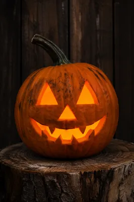 Glowing Jack O Lantern on Tree Stump