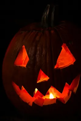 Glowing Carved Halloween Pumpkin in Darkness
