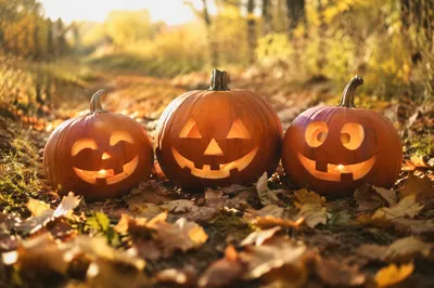 Cheerful Jack O Lanterns on Autumn Path