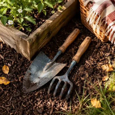 Labor Day Garden Tools Picnic Scene