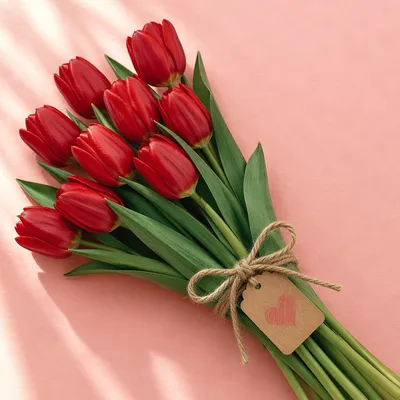 Mother’s Day Red Tulip Bouquet Gift