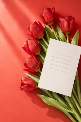 Mothers Day Tulip Bouquet Greeting Card