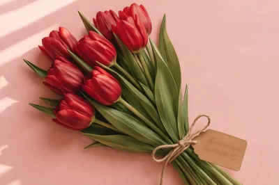 Red Tulip Mother’s Day Bouquet Flat Lay