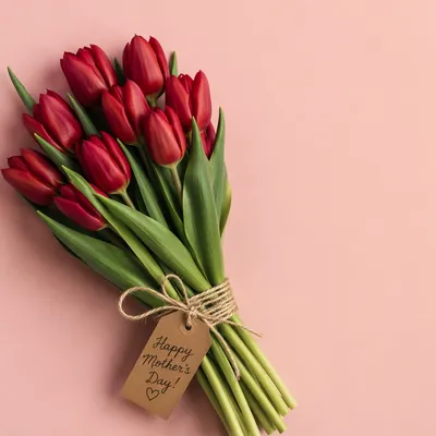 Mother’s Day Red Tulip Bouquet Gift