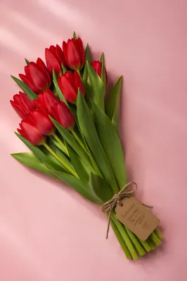 Red Tulip Mother's Day Bouquet Flat Lay