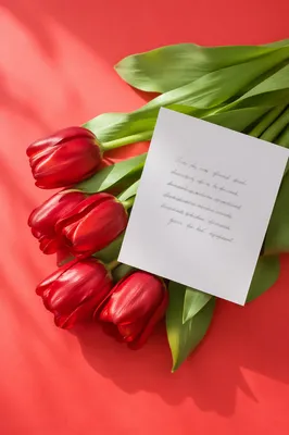 Mothers Day Tulip Bouquet Greeting Card