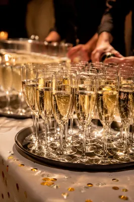 Elegant Champagne Toast with Holiday Confetti
