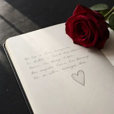 Romantic Red Rose on Love Note