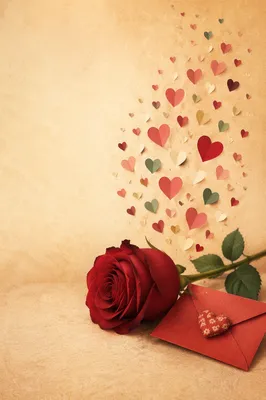 Romantic Red Rose Valentine Still Life