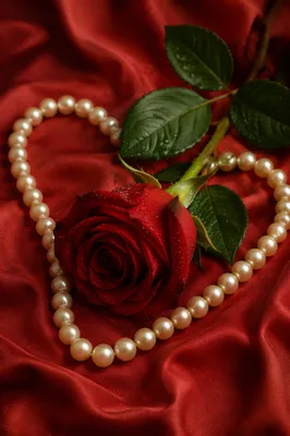 Red Rose and Pearl Heart Valentine