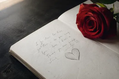 Red Rose Valentine Love Note