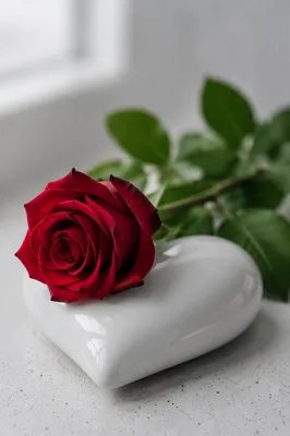 Red Rose on White Ceramic Heart