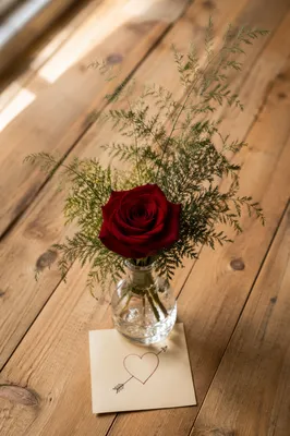 Romantic Red Rose Valentine Still Life