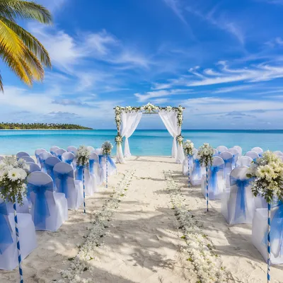 Beach Wedding Floral Arch Ceremony