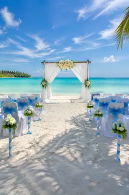 Beach Wedding Floral Arch Ceremony