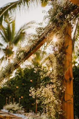 Outdoor Wedding Arch with Wildflowers at Sunset