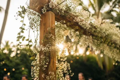 Romantic Outdoor Wedding Arch at Golden Hour