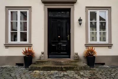 Glossy Black Wooden House Entrance