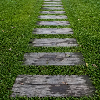 Quiet Green Lawn Pathway in Backyard Garden