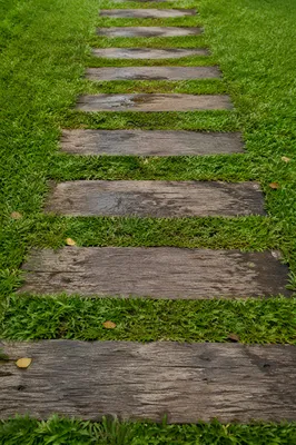 Weathered Wooden Path Through Green Garden Lawn