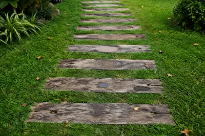 Quiet Garden Path Across Green Lawn