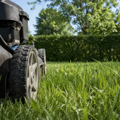Morning Lawn Mower in Green Backyard