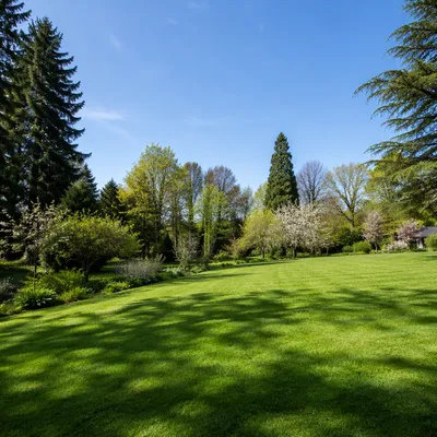 Peaceful Backyard Garden With Green Spring Lawn