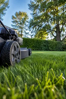 Morning Lawn Mower in Green Backyard