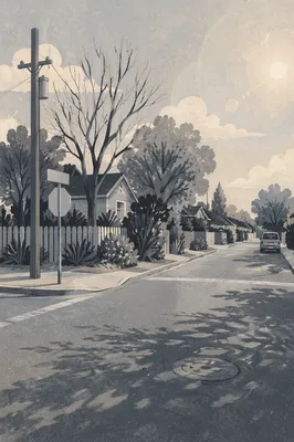 Quiet Suburban Street Corner in Monochrome
