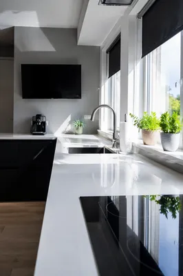 Bright Modern Kitchen Countertop Interior