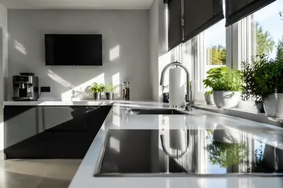 Bright Modern Kitchen Countertop Interior Scene