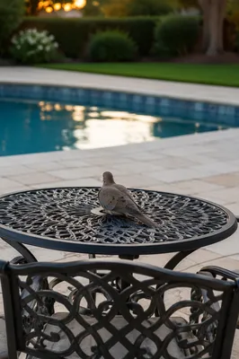 Peaceful Patio Table at Evening Poolside