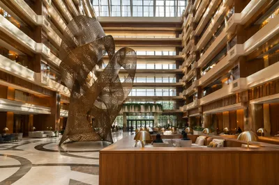 Sunlit Glass Ceiling Atrium Interior