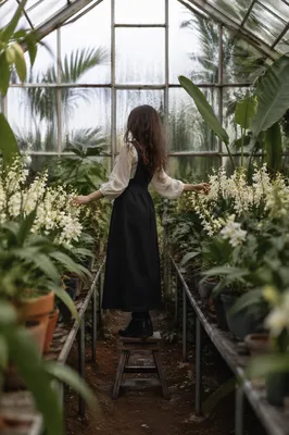Lush Tropical Greenhouse Interior with Soft Light